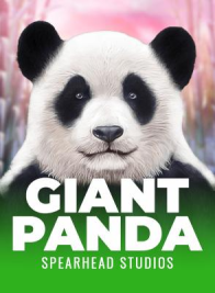 Giant Panda
