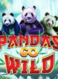 Panda's Go Wild