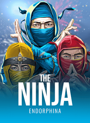 The Ninja