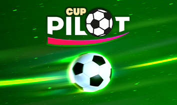 Pilot Cup