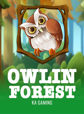 Owl In Forest