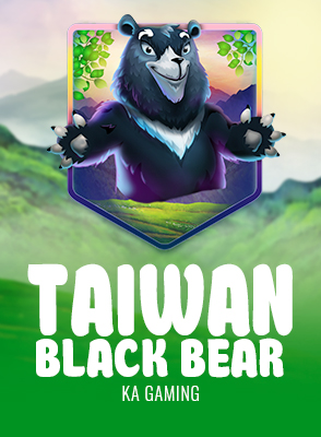 Taiwan Black Bear