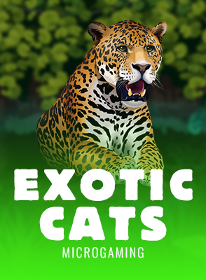 Exotic Cats