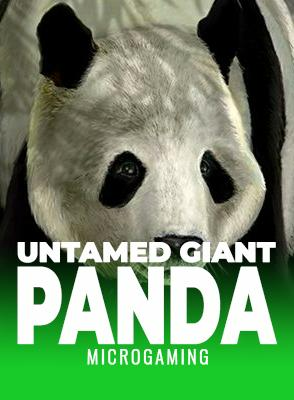 Untamed - Giant Panda