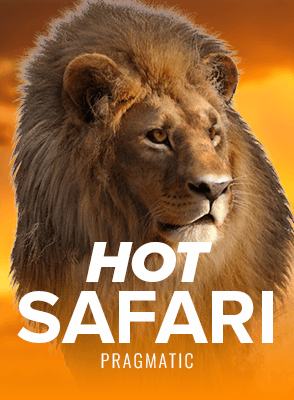 Hot Safari