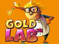 Gold Lab