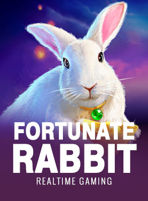 Fortunate Rabbit