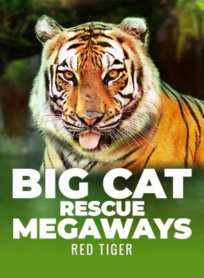 Big Cat Rescue Megaways