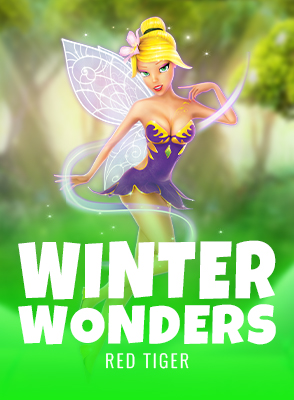 Winter Wonders