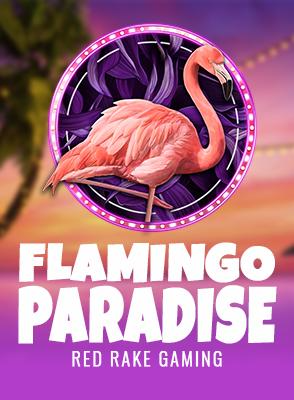 Flamingo Paradise