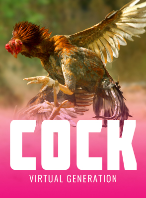 Cock