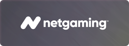 NetGaming